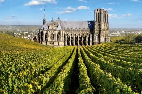 НОРМАНДИЯ И ШАМПАНЬ