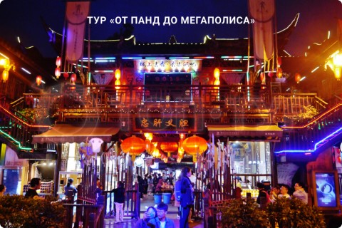 ОТ ПАНД ДО МЕГАПОЛИСА