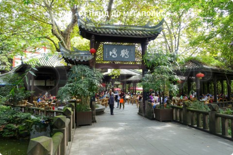 ОТ ПАНД ДО МЕГАПОЛИСА