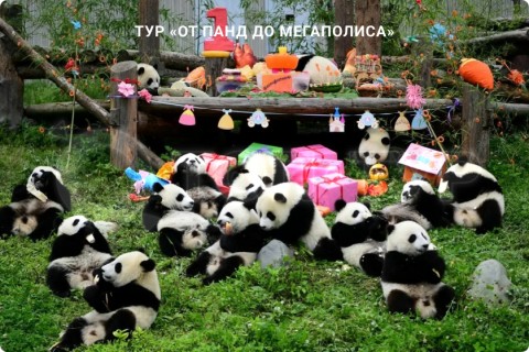 ОТ ПАНД ДО МЕГАПОЛИСА