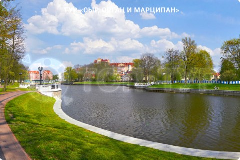 СЫР, ОРГАН И МАРЦИПАН. ФАБРИКА ШОКОЛАДА И КАЛИНИНГРАД