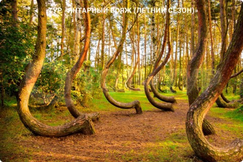 ЯНТАРНЫЙ ВОЯЖ. 10 ГОРОДОВ КАЛИНИНГРАДСКОЙ ОБЛАСТИ