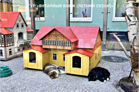 ЯНТАРНЫЙ ВОЯЖ. 10 ГОРОДОВ КАЛИНИНГРАДСКОЙ ОБЛАСТИ