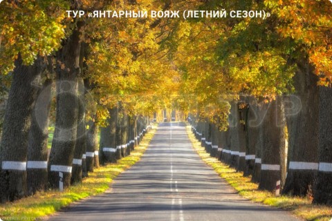 ЯНТАРНЫЙ ВОЯЖ. 10 ГОРОДОВ КАЛИНИНГРАДСКОЙ ОБЛАСТИ